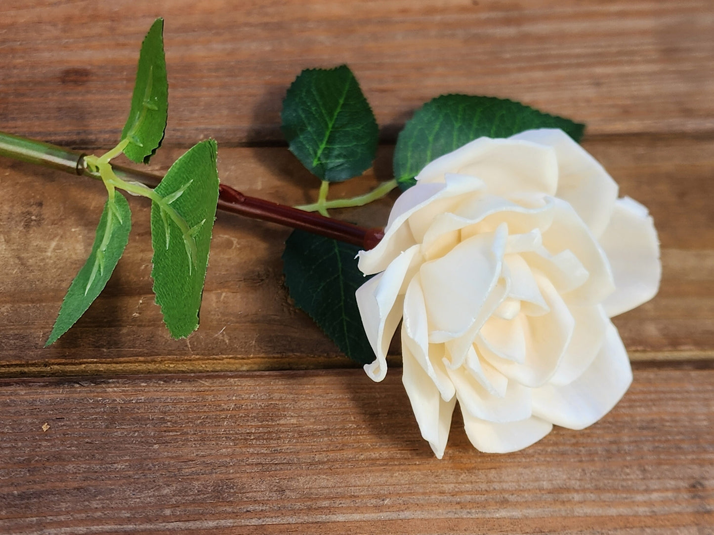1 Dozen Ivory Wood Roses with Stems