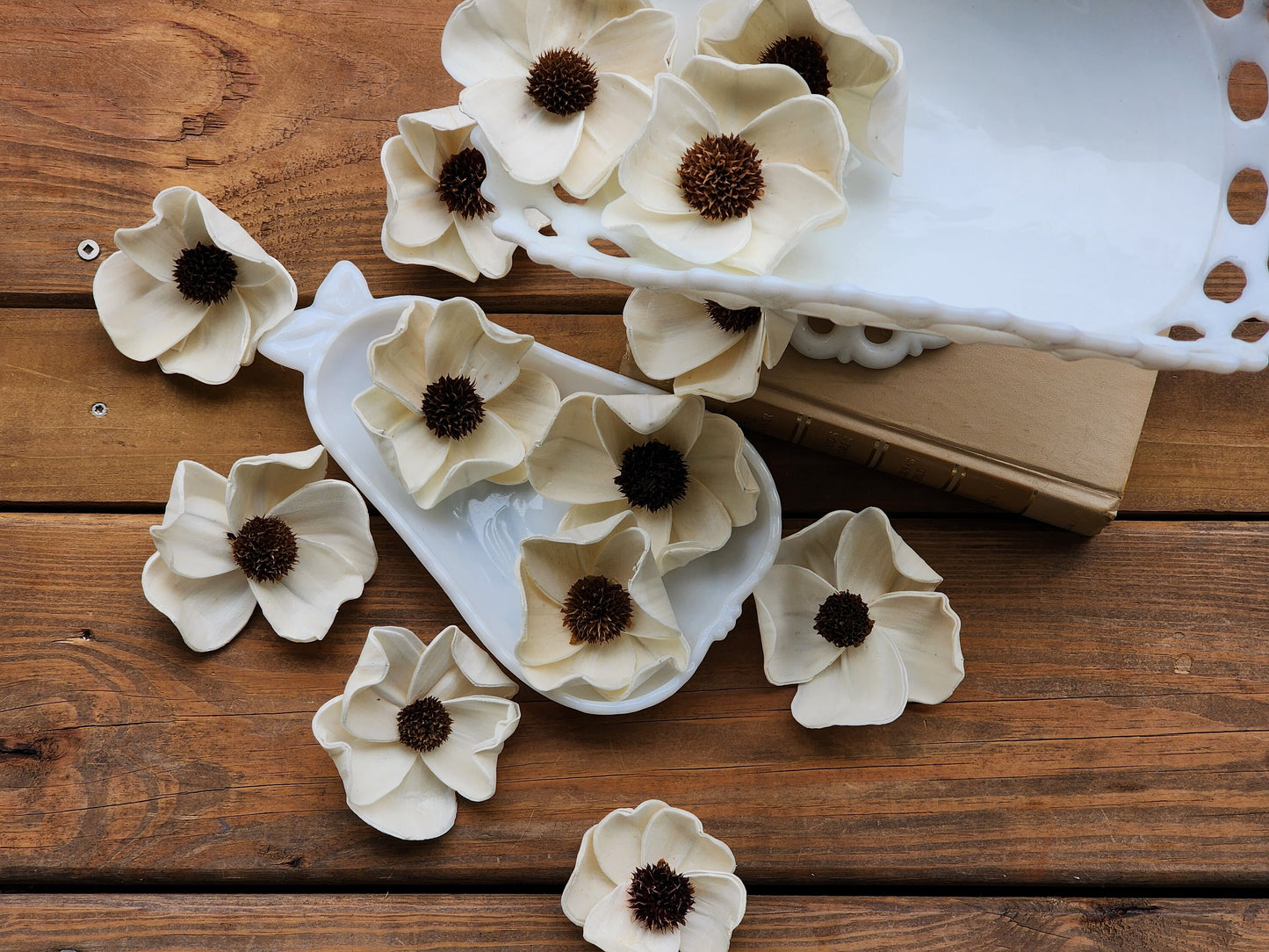 Wood Flowers, Thistle Center Dogwood (Set of 12)