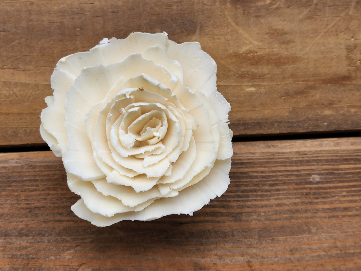 Wood Flowers, Ragged Rose (Set of 12)