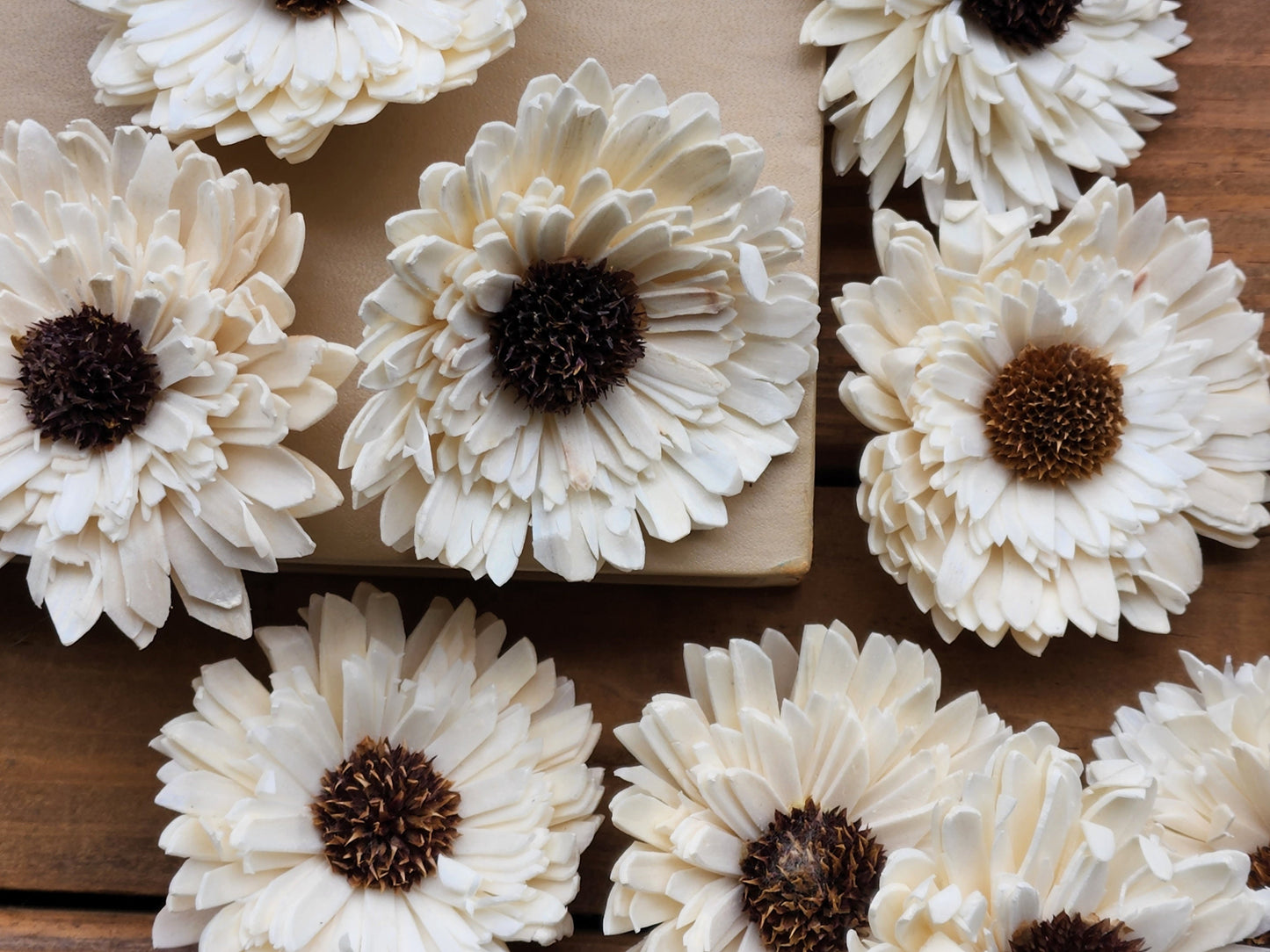 Wood Flowers, Thistle Center Multi-Petal Sunflower (Set of 12)
