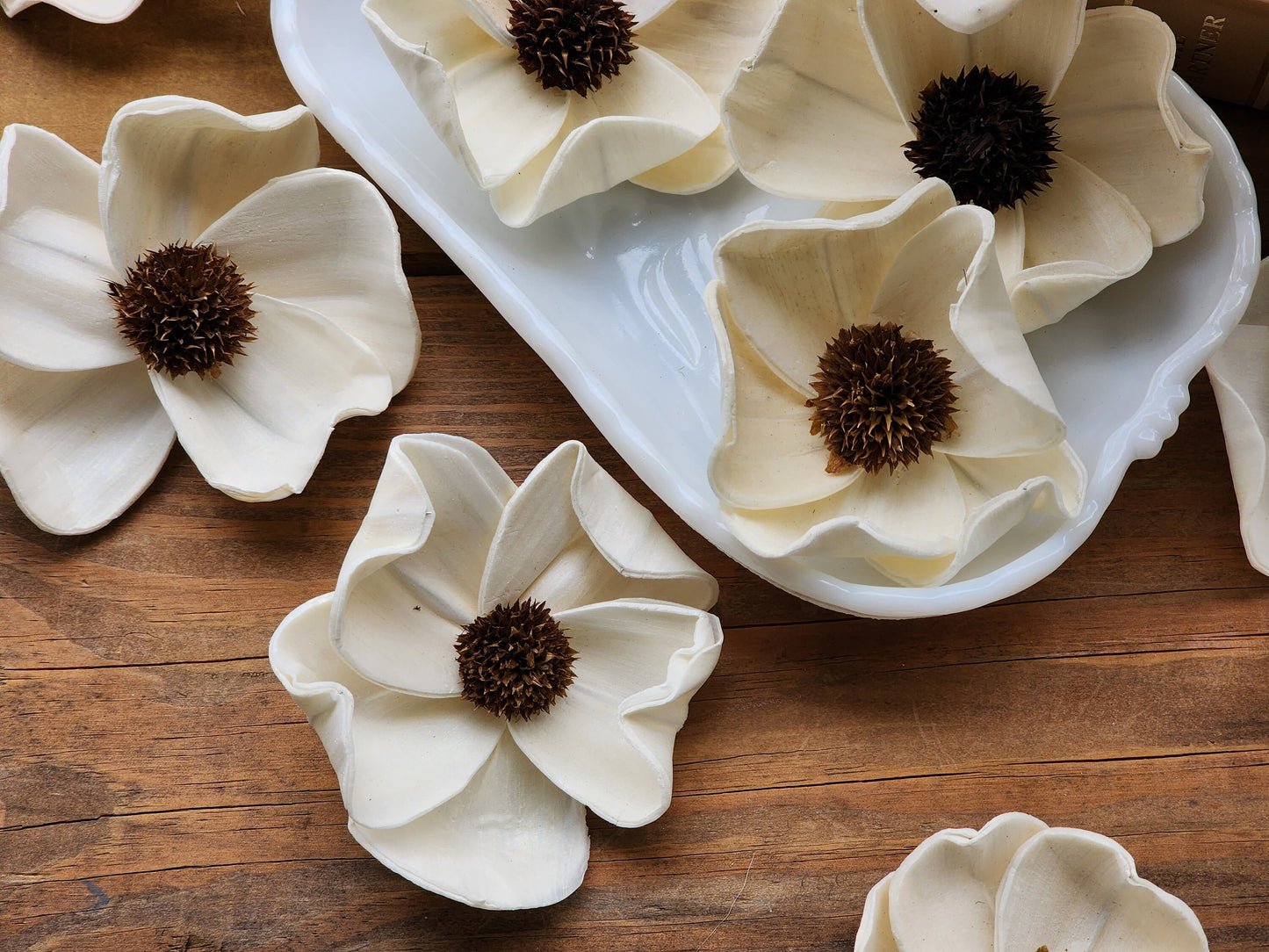 Wood Flowers, Thistle Center Dogwood (Set of 12)