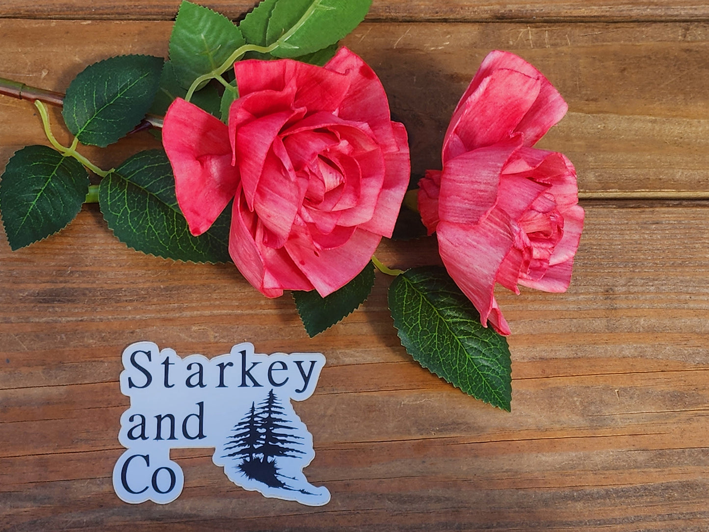 1 Dozen Red Wood Rose with Stems