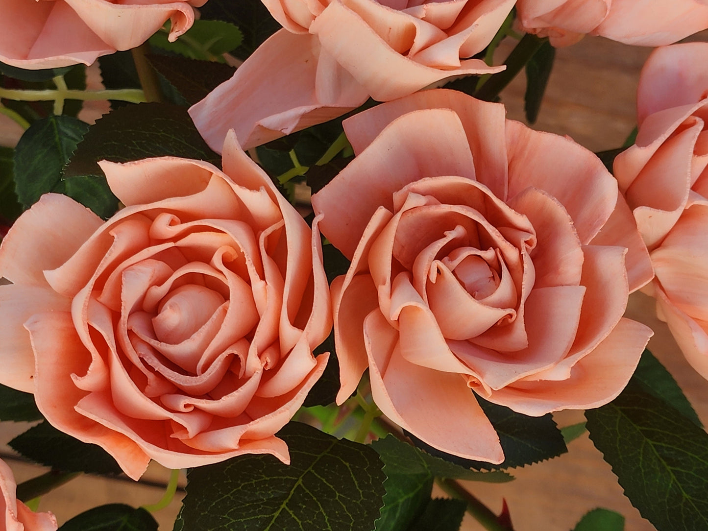 1 Dozen Peach Wood Roses with Stems