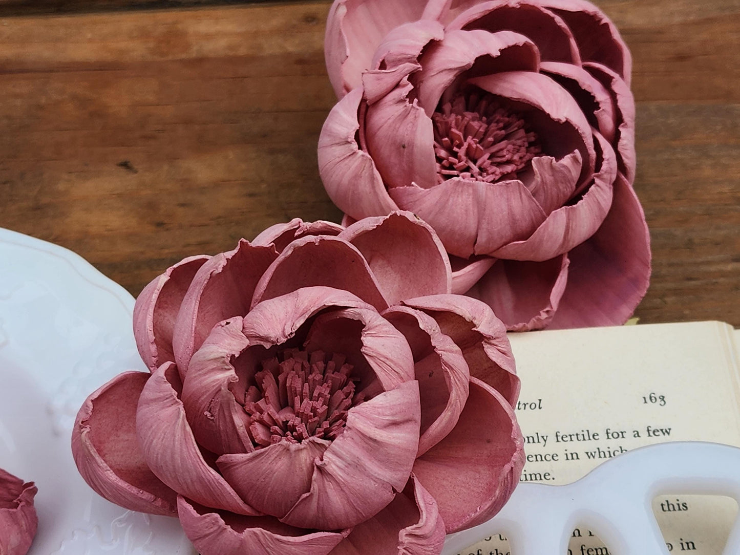 Wood Flowers, Mauve Peony (Set of 12)