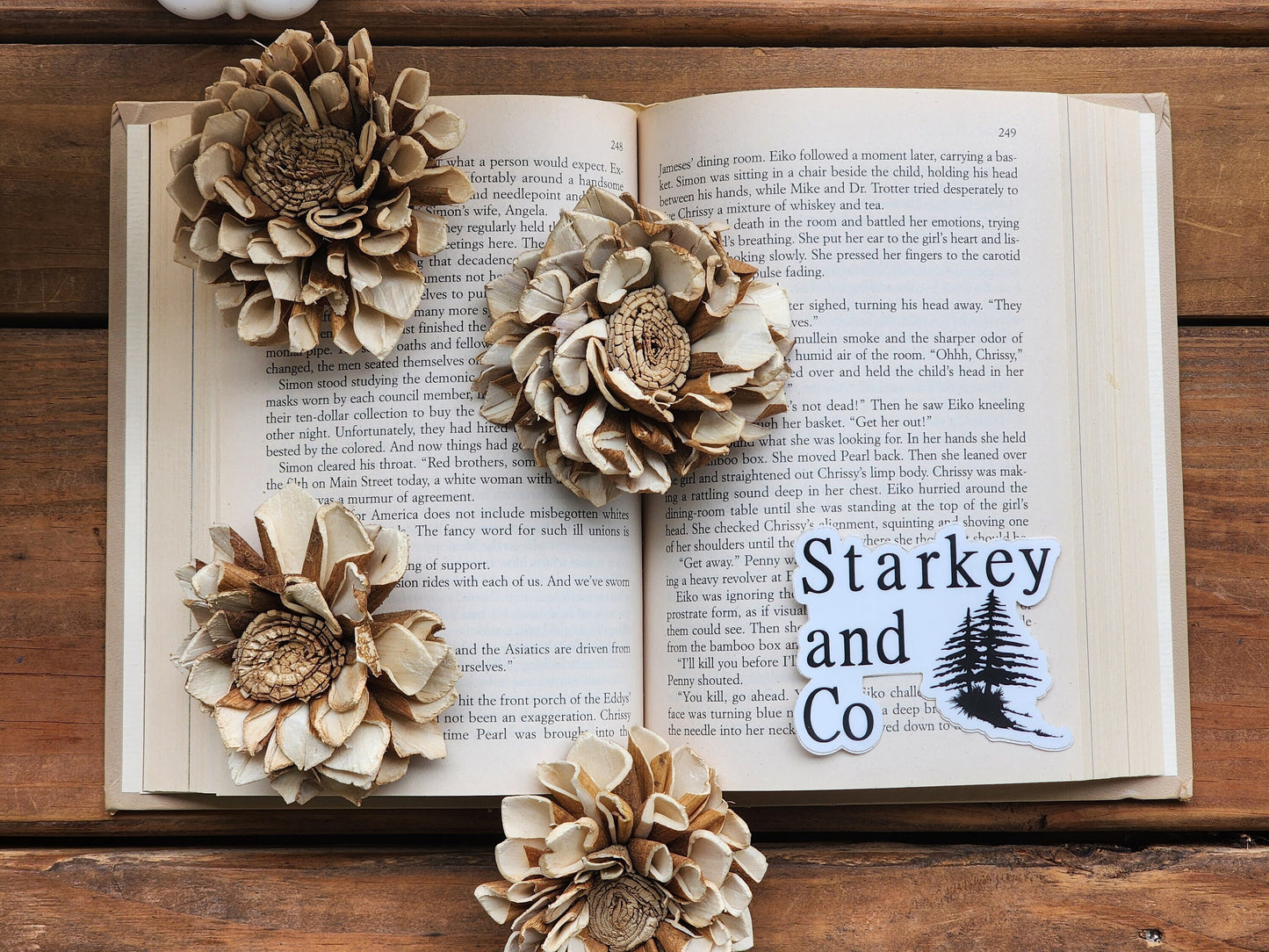 Wood Flowers, Skinned Flat Centered Dahlia (Set of 12)