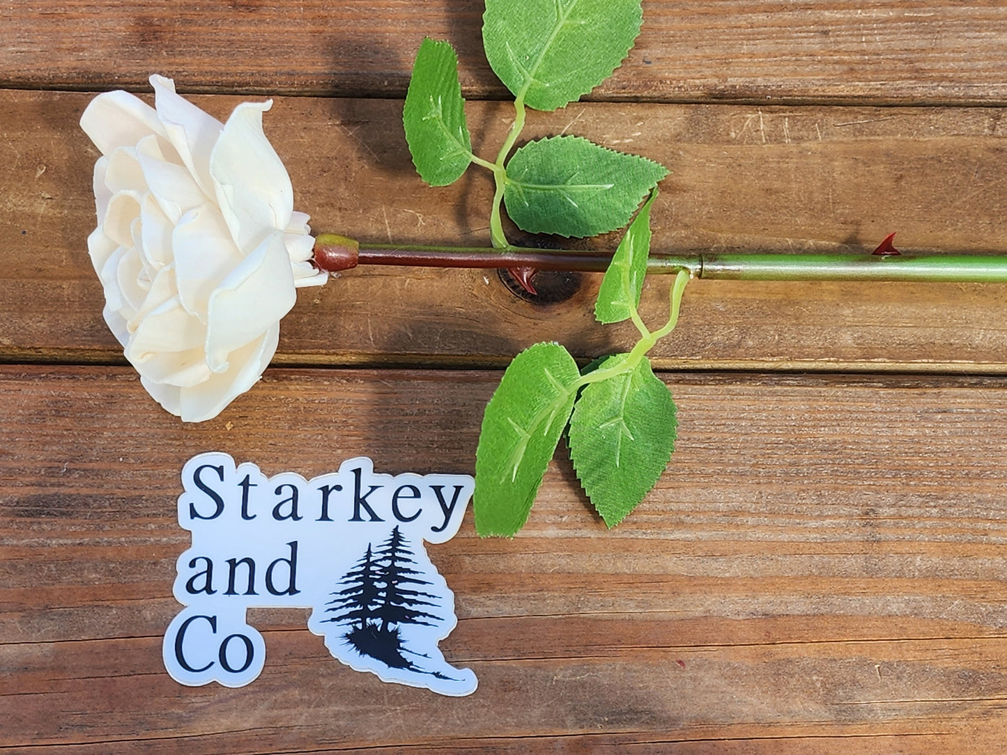 1 Dozen Ivory Wood Roses with Stems