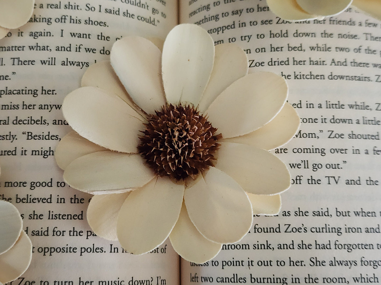 Wood Flowers, Thistle Center Cream Daisy (Set of 12)