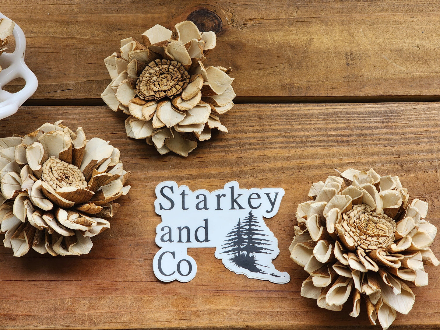 Wood Flowers, Skinned Flat Centered Dahlia (Set of 12)