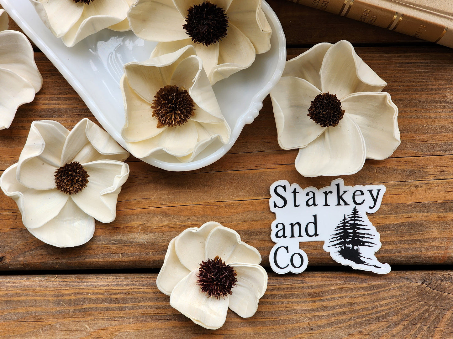 Wood Flowers, Thistle Center Dogwood (Set of 12)