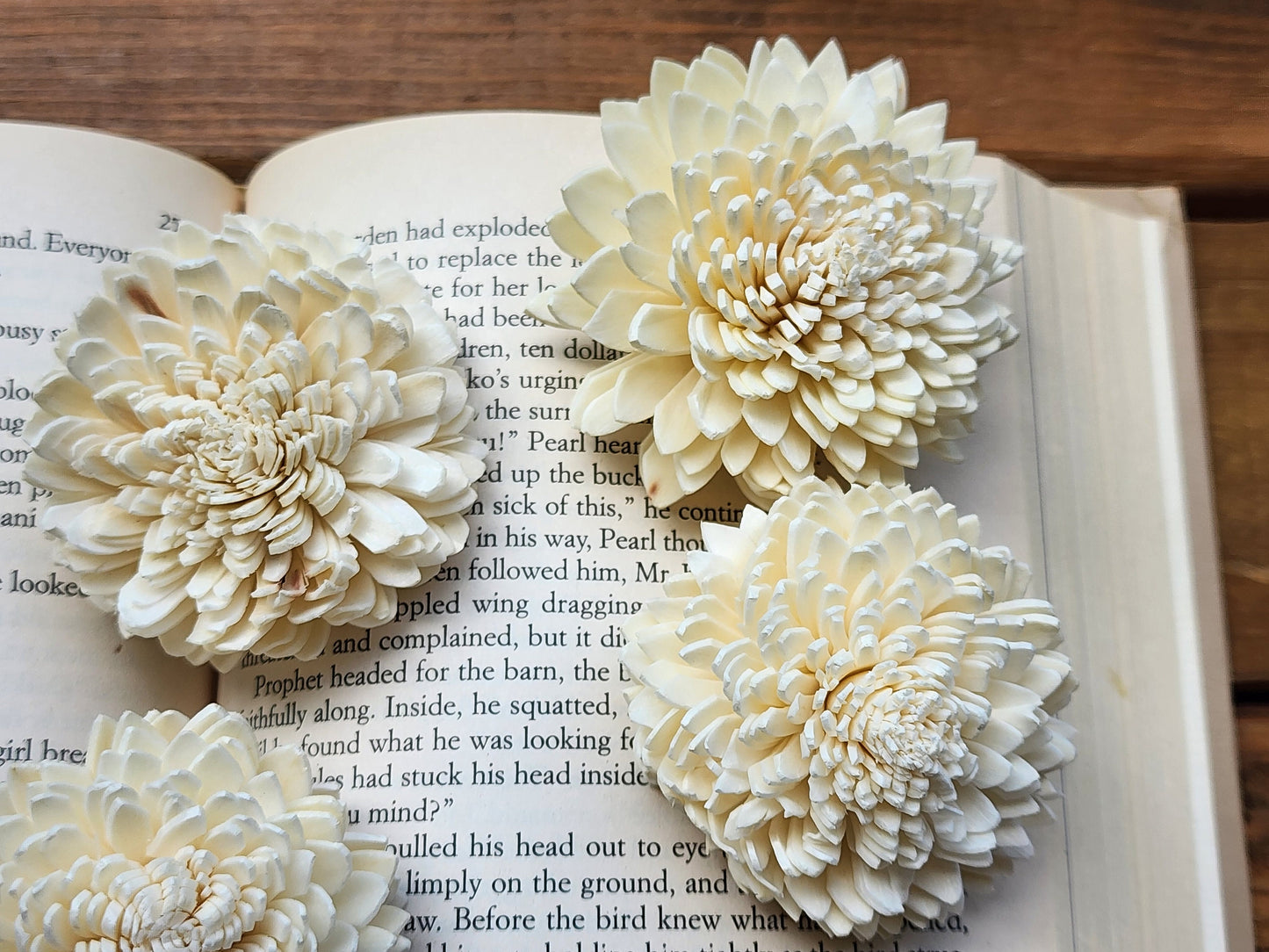 Wood Flowers, Zinnia (Set of 12)