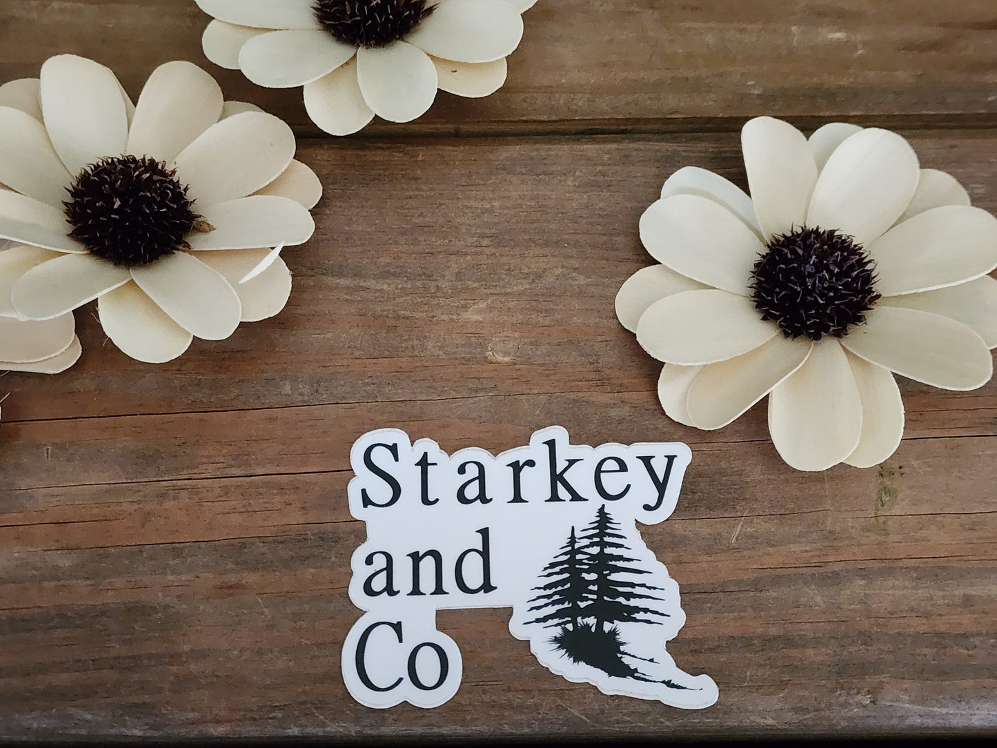 Wood Flowers, Thistle Center Cream Daisy (Set of 12)
