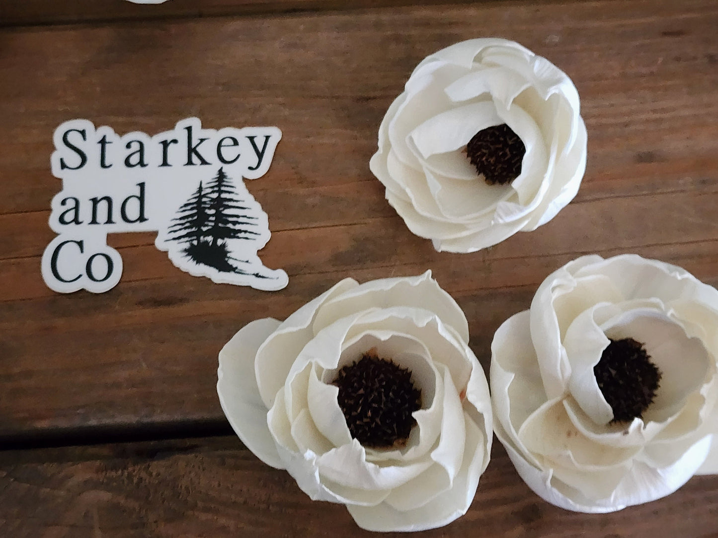 Wood Flowers, Brown Thistle Centered Peonies (Set of 12)