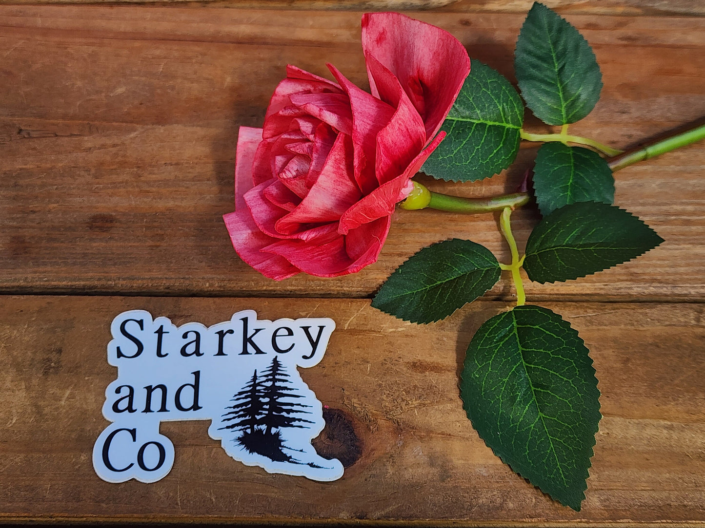 1 Dozen Red Wood Rose with Stems