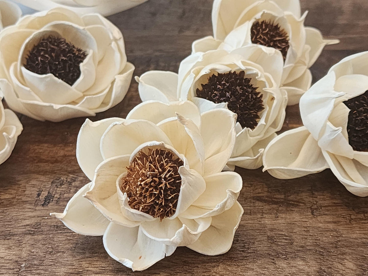 Sola Wood Flowers, One Dozen 2" Thistle Center Peonies, Ivory Wood Flowers, DIY Wedding Bouquet, Floral Craft Supplies