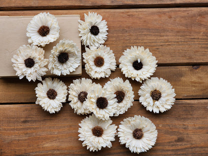 Wood Flowers, Thistle Center Multi-Petal Sunflower (Set of 12)