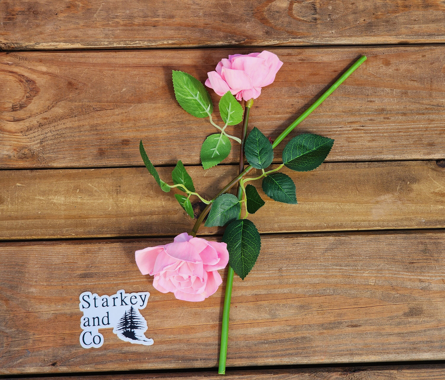 1 Dozen Pink Wood Roses with Stems