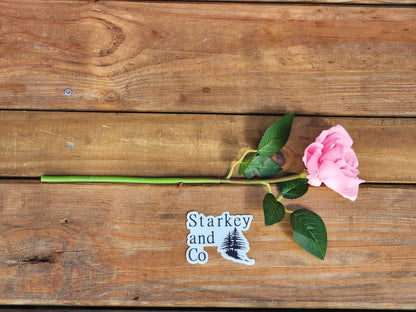 1 Dozen Pink Wood Roses with Stems