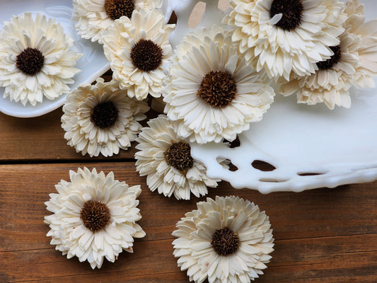 Wood Flowers, Thistle Center Multi-Petal Sunflower (Set of 12)