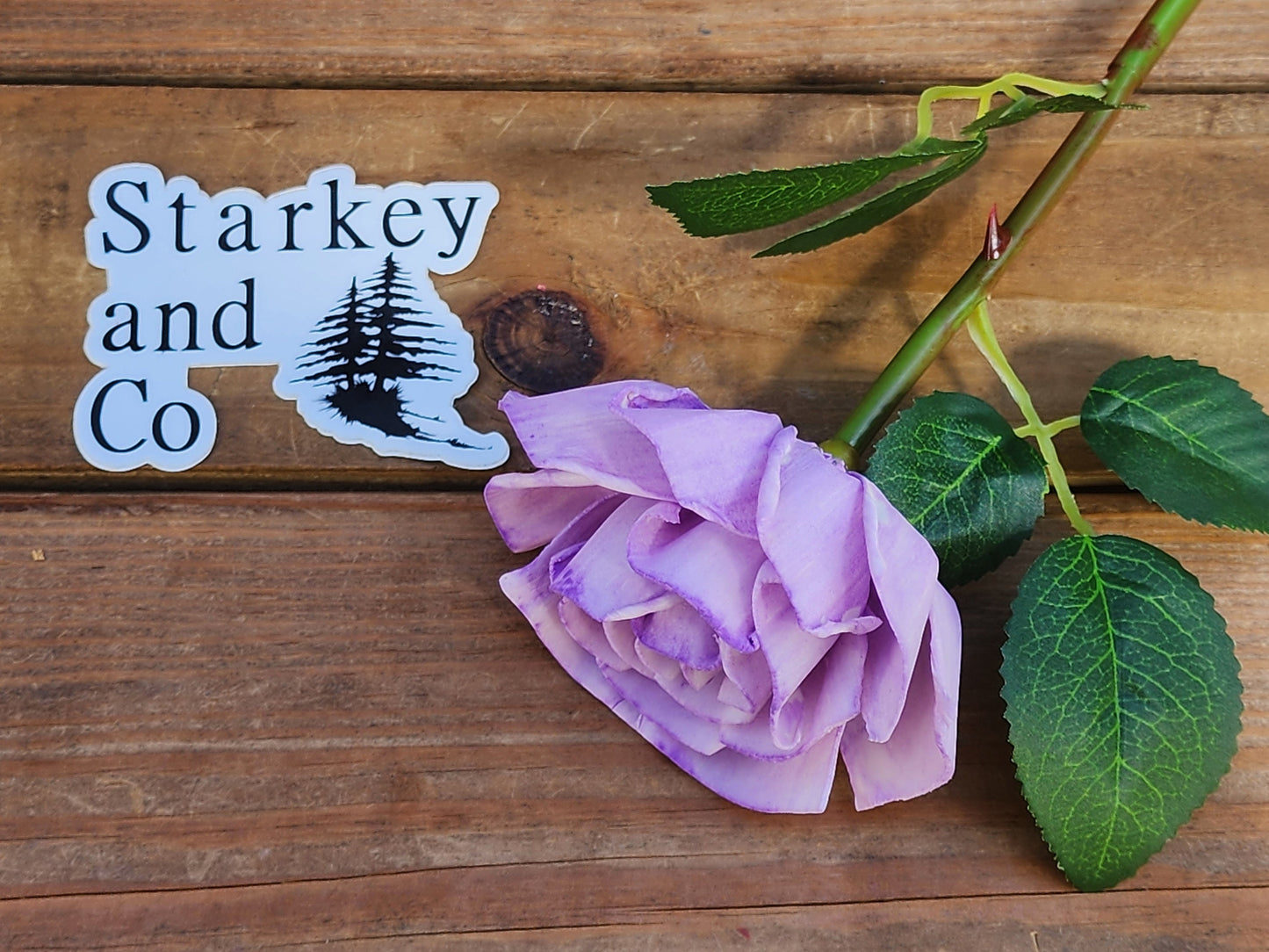 1 Dozen Lavender Wood Roses with  Stems