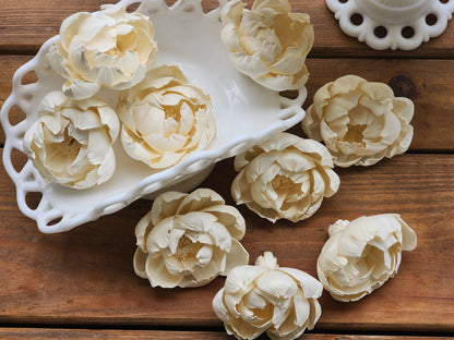 Wood Flowers, Peony (Set of 12)