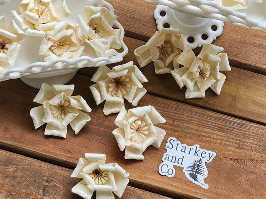 Wood Flowers, Magnolia (Set of 12)