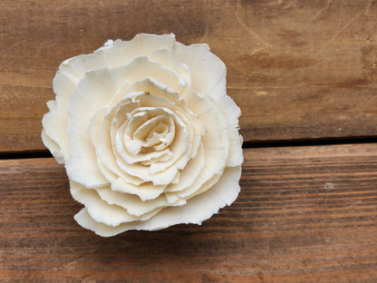 Wood Flowers, Ragged Rose (Set of 12)