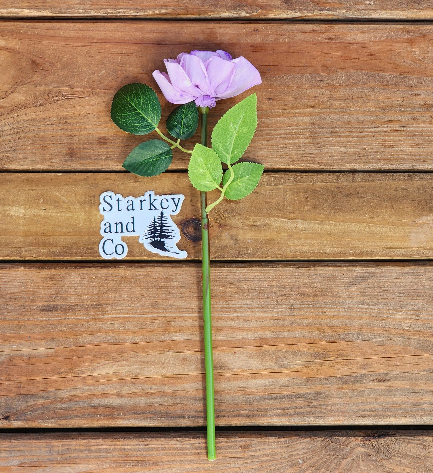 1 Dozen Lavender Wood Roses with  Stems