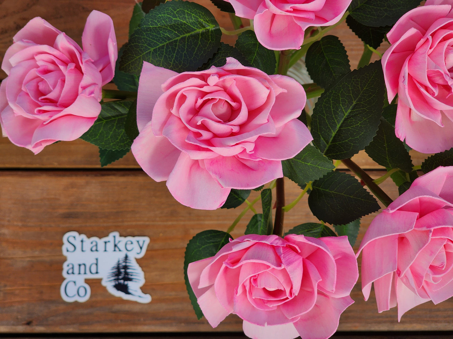 1 Dozen Pink Wood Roses with Stems