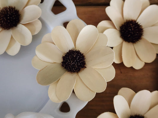 Wood Flowers, Thistle Center Cream Daisy (Set of 12)