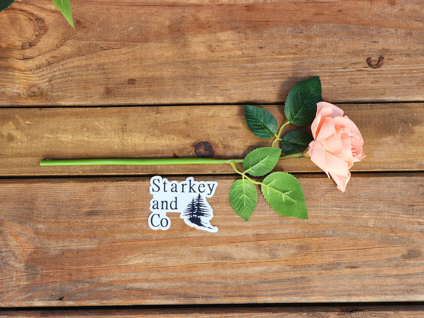 1 Dozen Peach Wood Roses with Stems