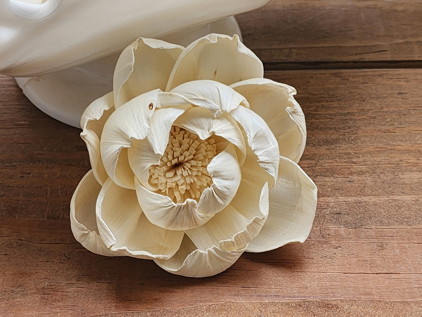 Wood Flowers, Peony (Set of 12)
