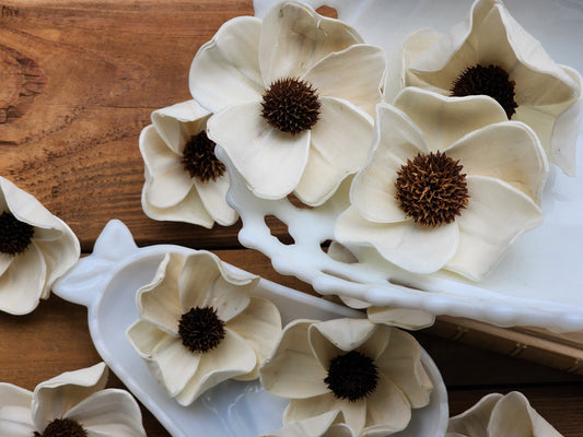 Wood Flowers, Thistle Center Dogwood (Set of 12)