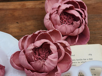 Wood Flowers, Mauve Peony (Set of 12)