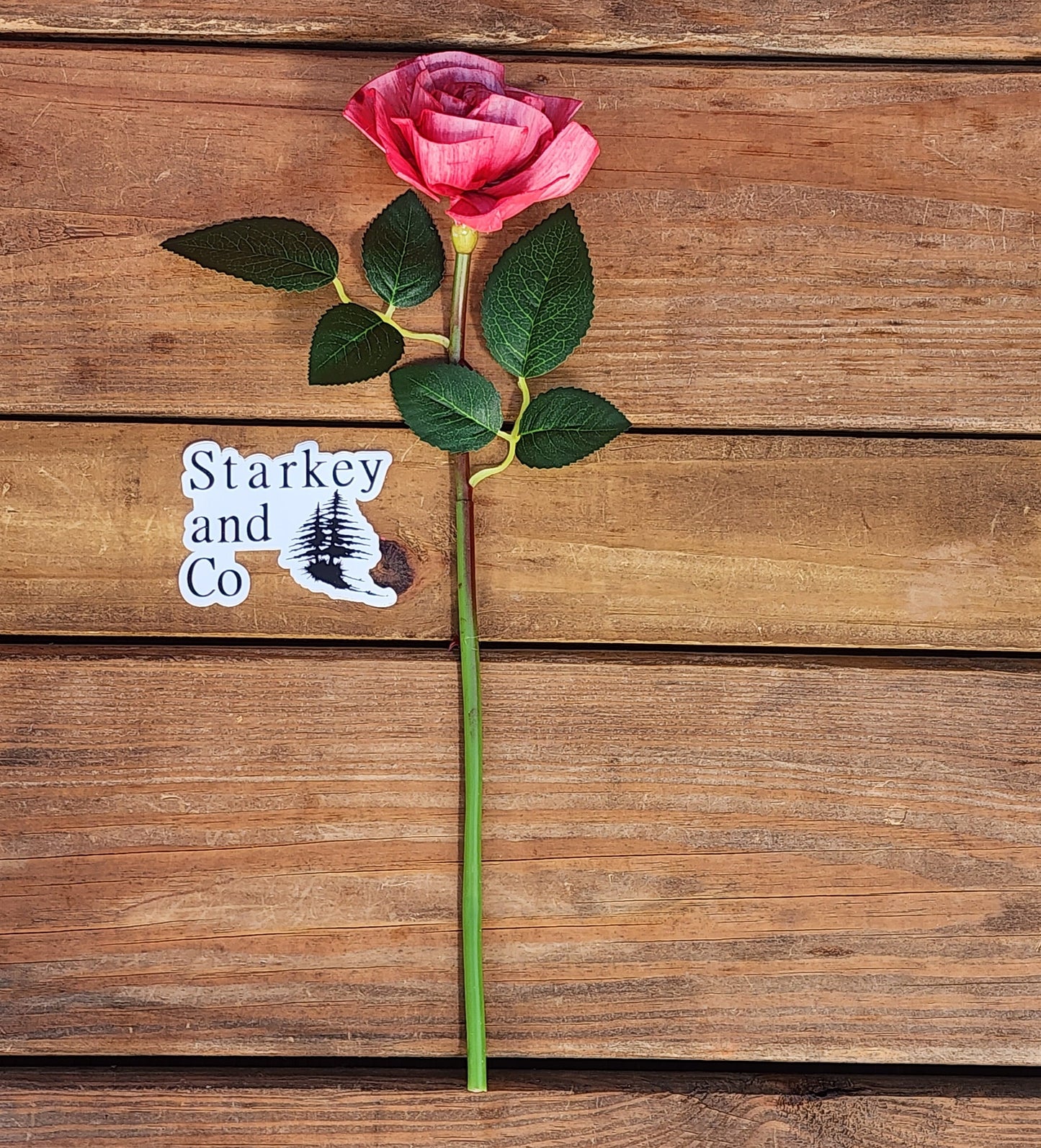 1 Dozen Red Wood Rose with Stems