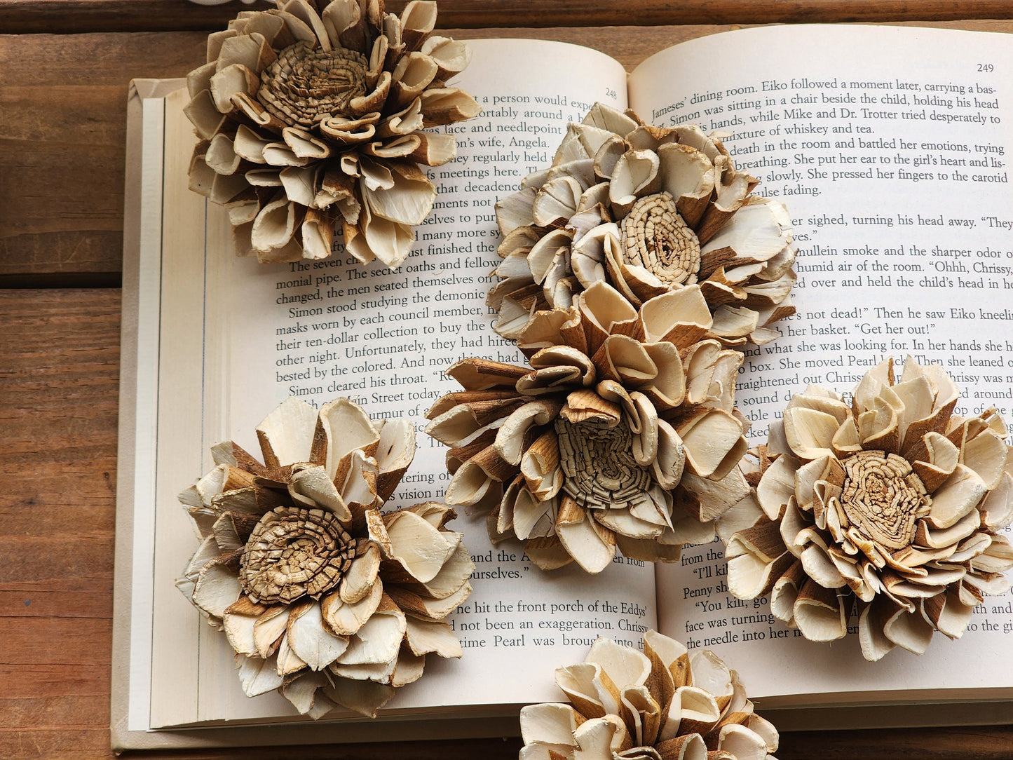 Wood Flowers, Skinned Flat Centered Dahlia (Set of 12)