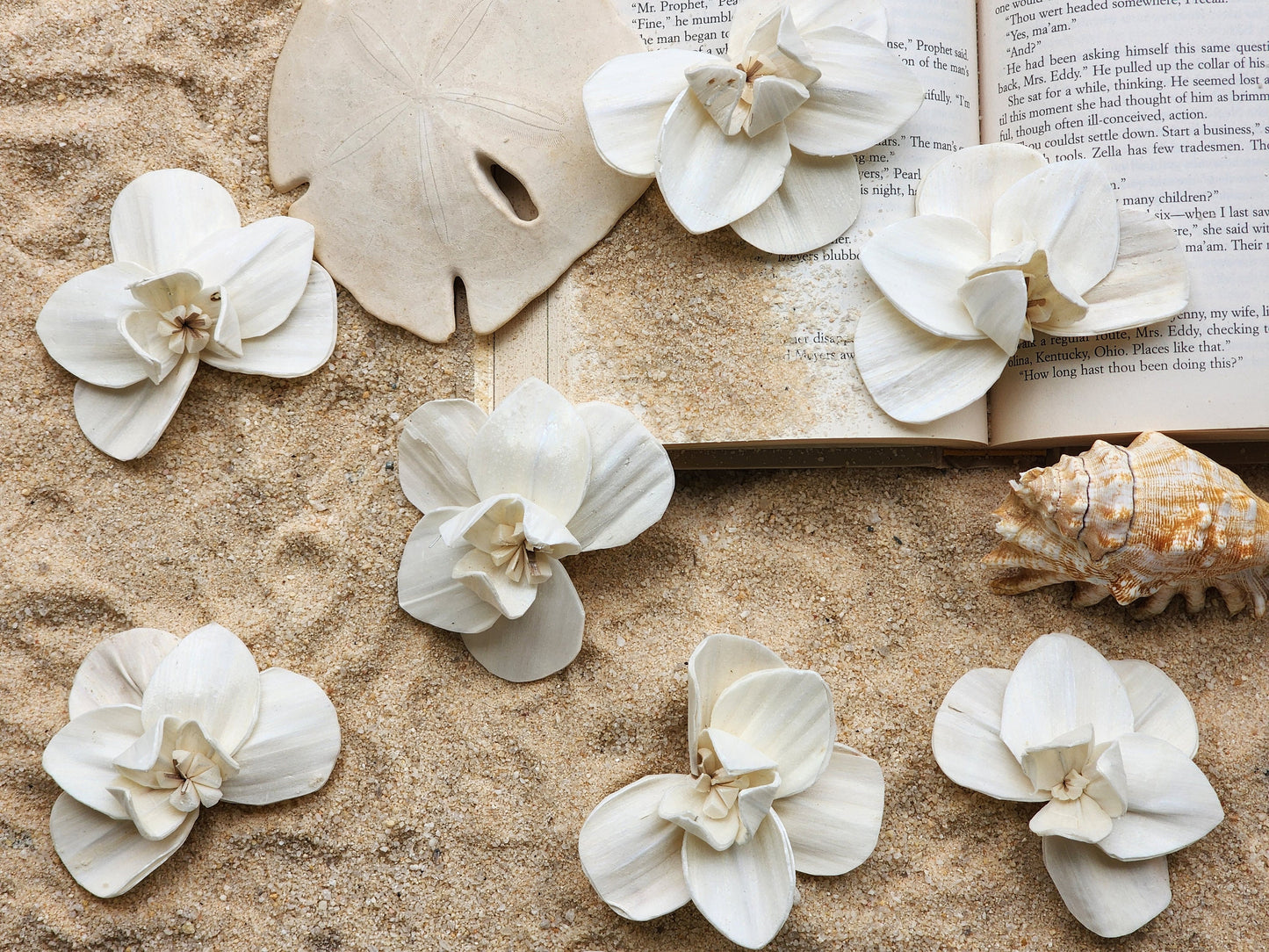 Wood Flowers Phalaenopsis Orchid (Set of 12)