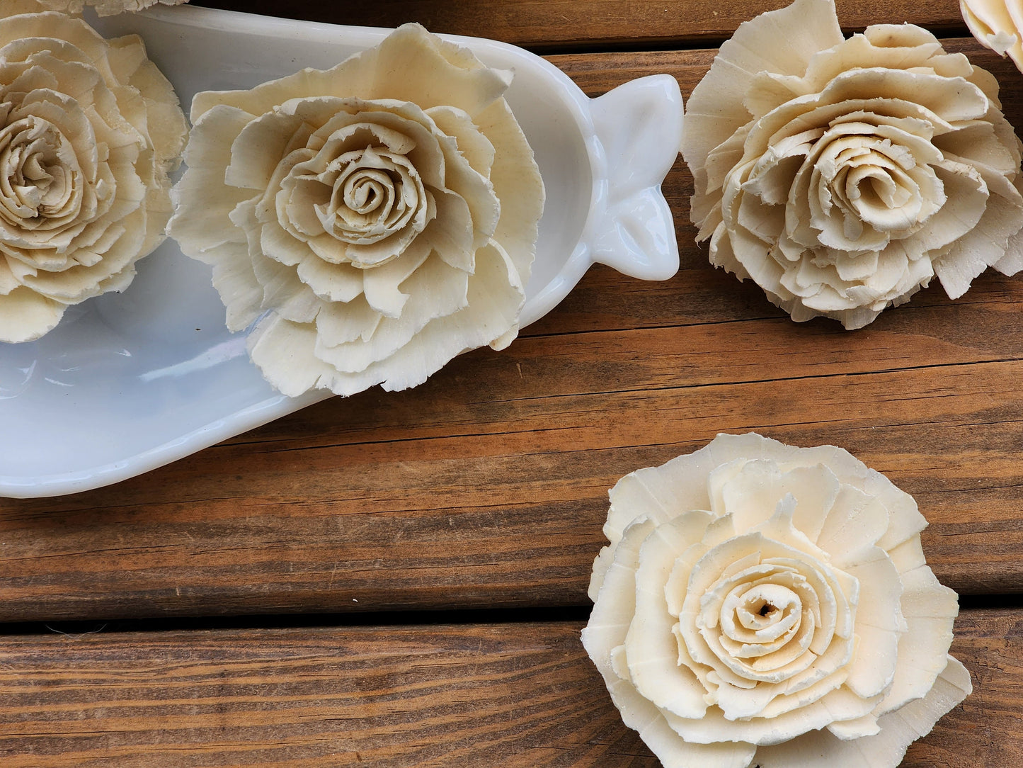 Wood Flowers, Ragged Rose (Set of 12)