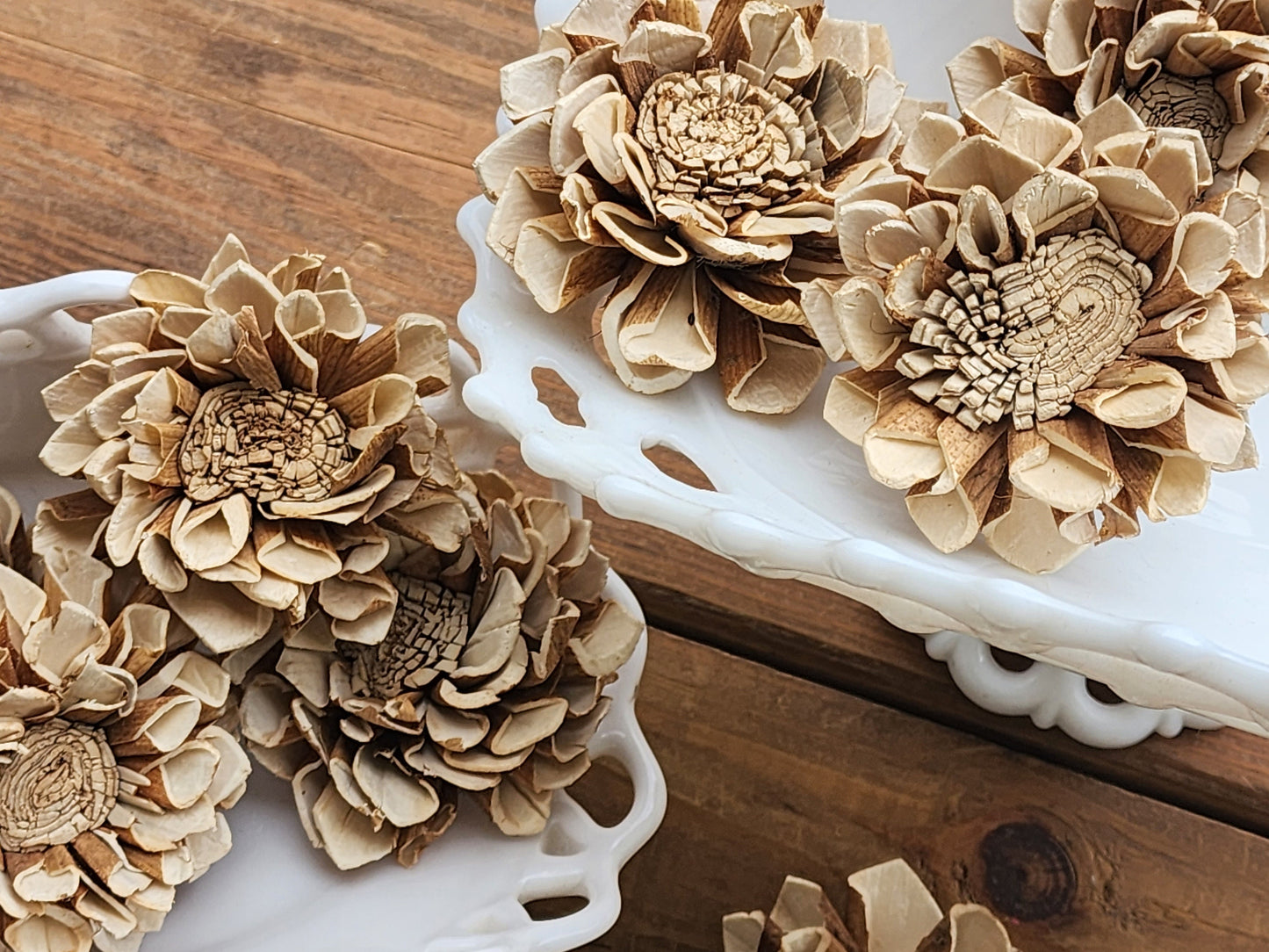 Wood Flowers, Skinned Flat Centered Dahlia (Set of 12)
