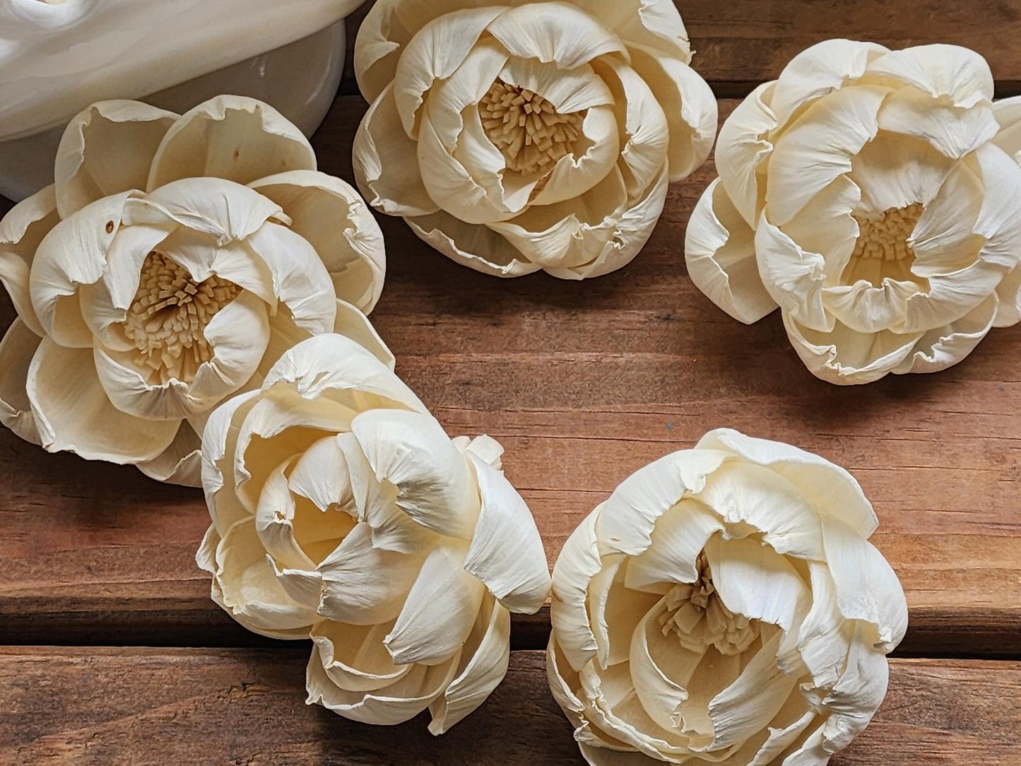 Wood Flowers, Peony (Set of 12)
