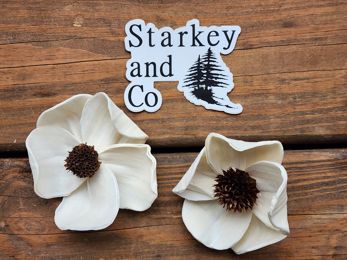 Wood Flowers, Thistle Center Dogwood (Set of 12)