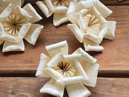 Wood Flowers, Magnolia (Set of 12)