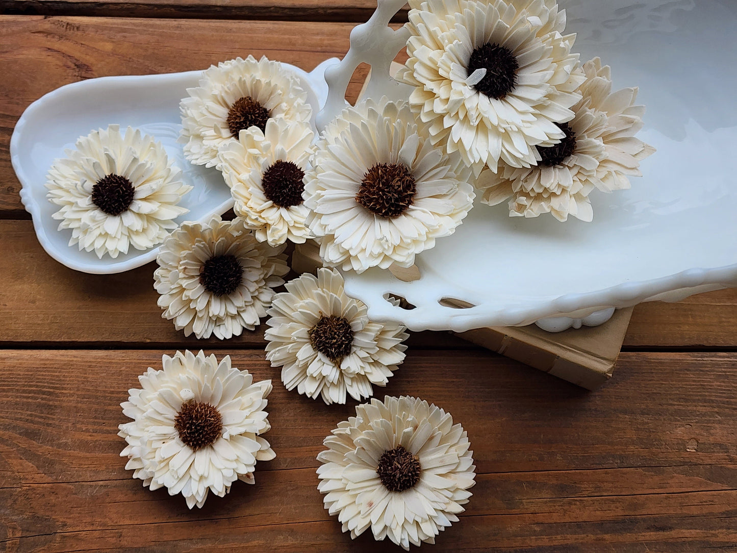 Wood Flowers, Thistle Center Multi-Petal Sunflower (Set of 12)