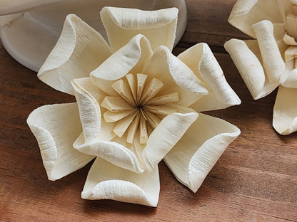 Sola Wood Flowers, One Dozen 3" Magnolias,  Ivory Wood Flowers, DIY  Wedding Bouquet, Floral Craft Supplies
