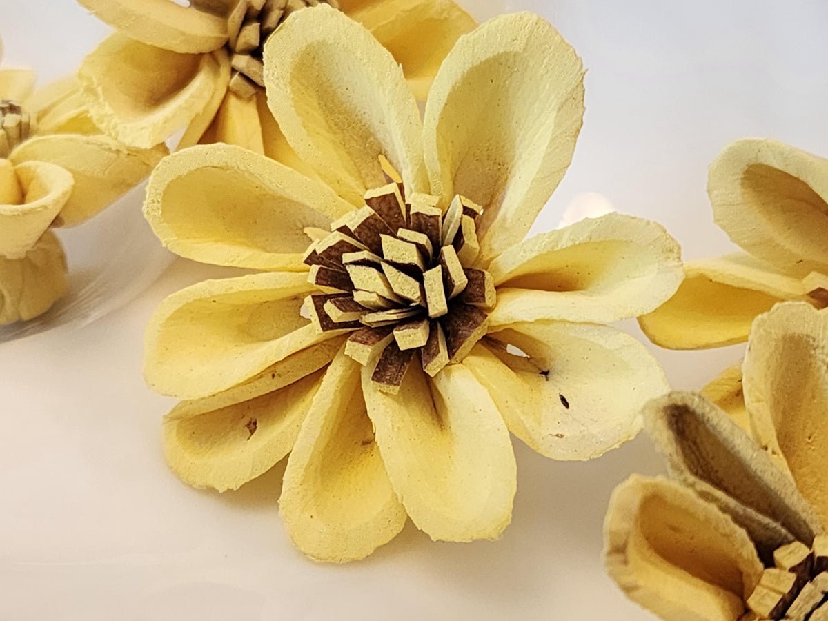 Sola Wood Flowers, 1 Dozen 1.5" Hand-dyed Yellow Mini Sunflowers, DIY Weddings, Bouquet Supplies, Floral Craft Supplies, DIY Centerpieces