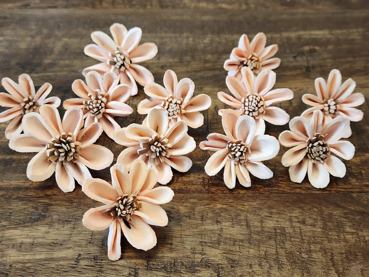 Sola Wood Flowers, 1 Dozen 1.5" Hand-dyed Pale Pink Mini Sunflowers, DIY Weddings, Bouquet Supplies, Floral Craft Supplies, DIY Centerpieces