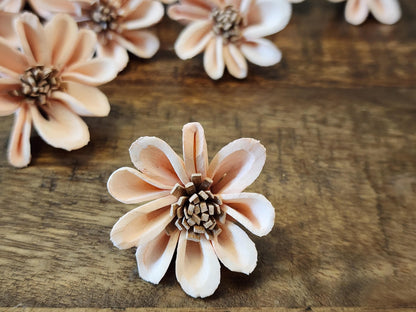 Sola Wood Flowers, 1 Dozen 1.5" Hand-dyed Pale Pink Mini Sunflowers, DIY Weddings, Bouquet Supplies, Floral Craft Supplies, DIY Centerpieces