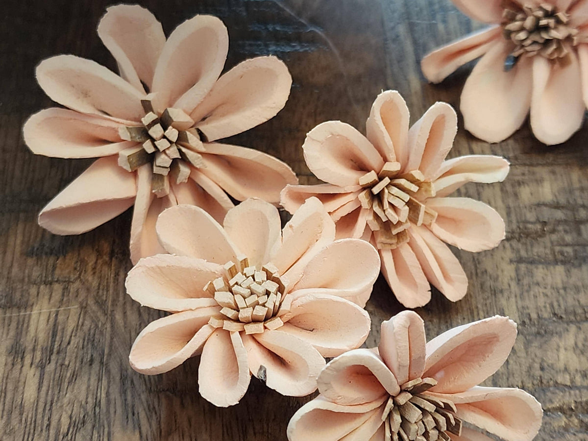Sola Wood Flowers, 1 Dozen 1.5" Hand-dyed Pale Pink Mini Sunflowers, DIY Weddings, Bouquet Supplies, Floral Craft Supplies, DIY Centerpieces