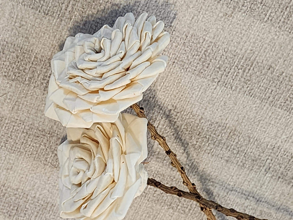 One Dozen 3" Sola Wood Ribbon Rose on 10" Wood Stem, Ivory Wooden Flower, DIY Bouquet Flower, Forever Floral Stem, Craft & Home Decor