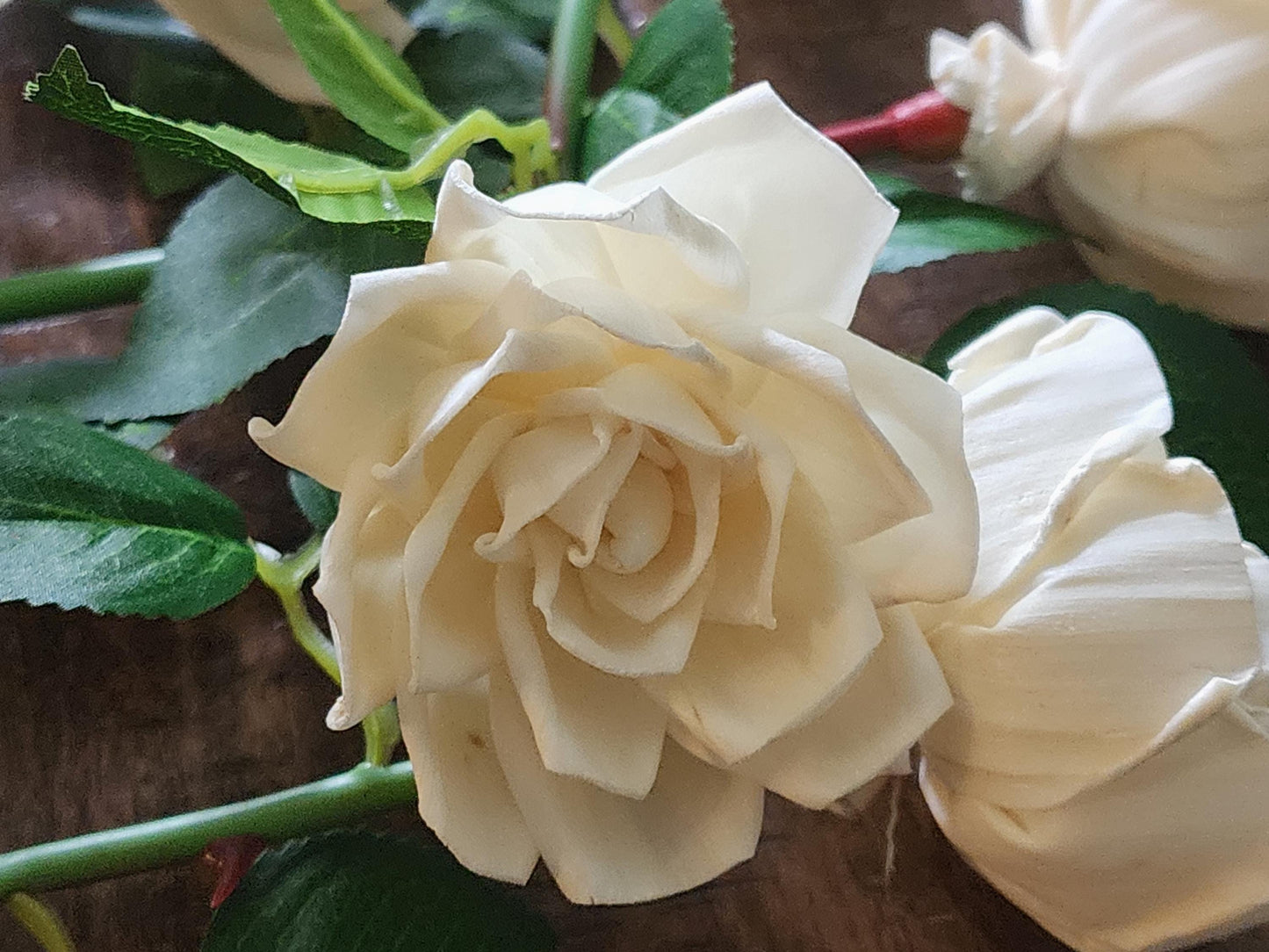 One Dozen Ivory Sola Wood Roses on Faux Rose Stems with Realistic Leaves & Soft Touch Thorns, DIY Wedding Flowers, Floral Craft Supply