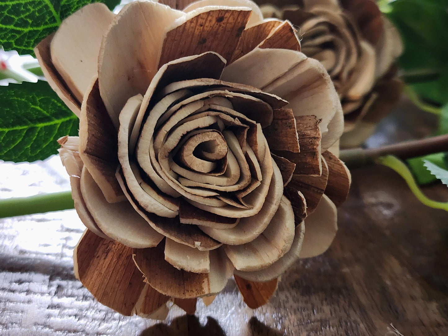 One Dozen Raw Sola Wood Roses on Faux Rose Stems with Realistic Leaves & Soft Touch Thorns, DIY Wedding Flowers, Floral Craft Supply